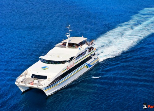 リーフクルーズ _10